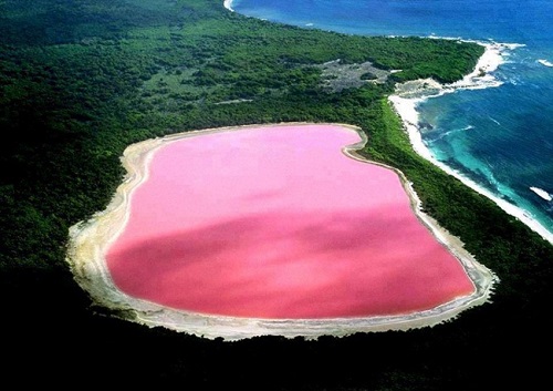 Hồ Hiller tại Úc: Hillier là một hồ nước nằm trên đảo Middle, và nổi bật nhất trong quần đảo Recherche, Tây Úc. Đây là một trong những hồ nước đặc biệt nhất trên thế giới bởi màu hồng tự nhiên của nó.